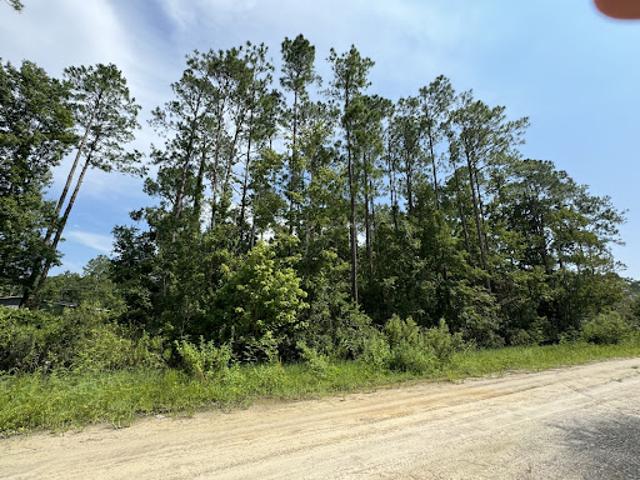 Land for sale in Satsuma Land for sale in Satsuma