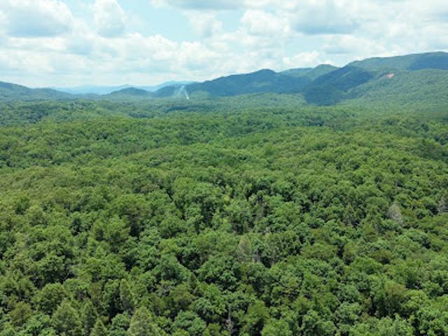 Land for sale in Tennessee