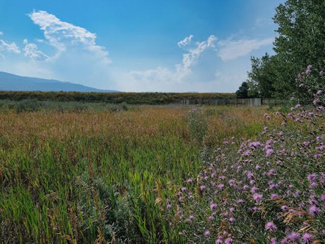 Land for sale in Wyoming
