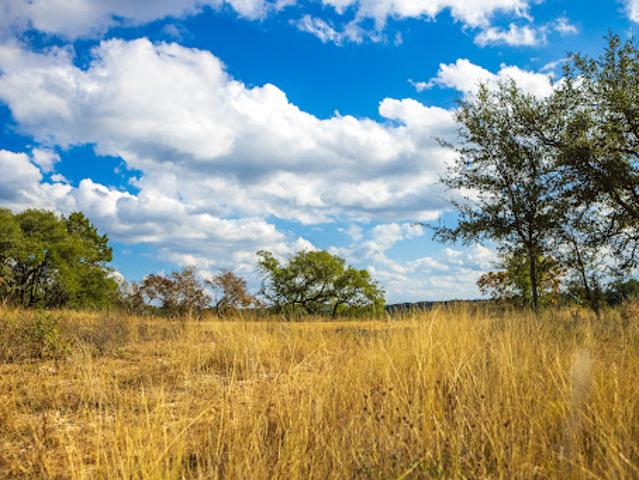 Land for sale in Hays, Texas