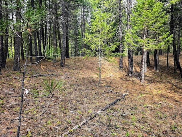 Land for sale in Naples, Idaho