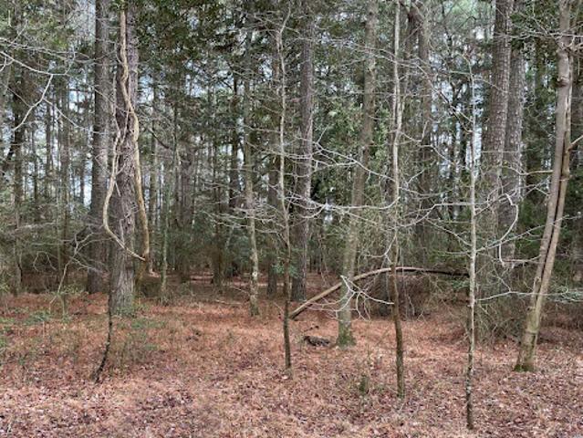 Land for sale in Virginia