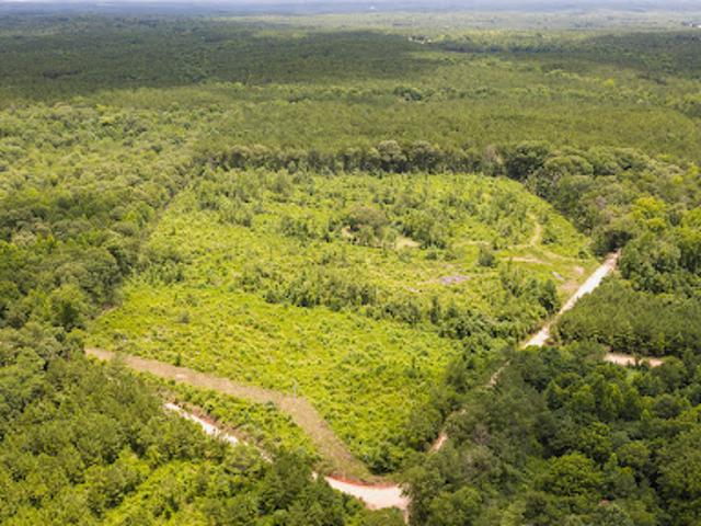 Land for sale in Alabama