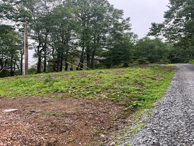 Land for sale in Lenoir