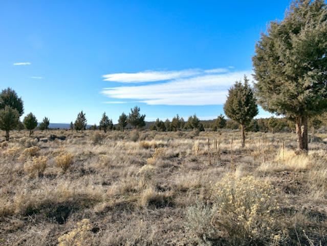 Land for sale in Oregonia