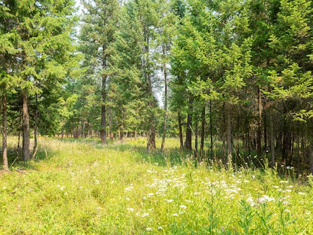 Land for sale in Kalispell, Montana