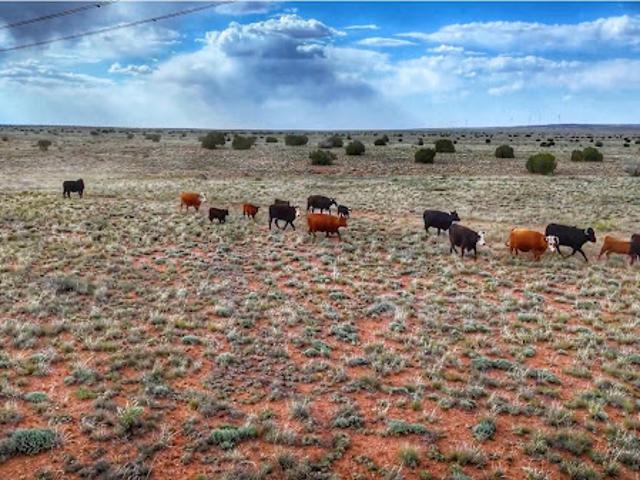 Land for sale in Navajo, Arizona