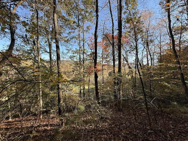 Land for sale in Georgia