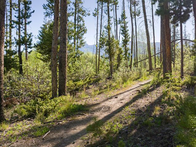 Land for sale in Fraser, Colorado