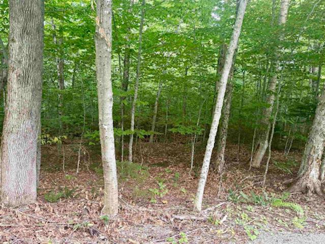 Land for sale in West Dover, Vermont