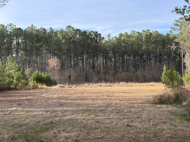 Land for sale in Huger, South Carolina