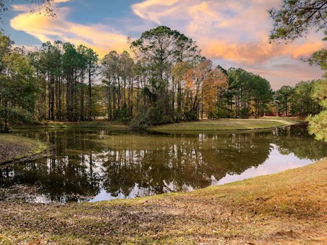 Land for sale in Wallace, North Carolina