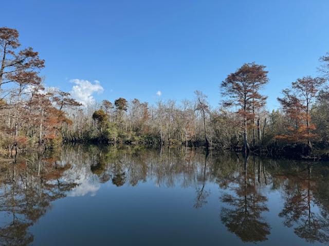 Land for sale in Florida