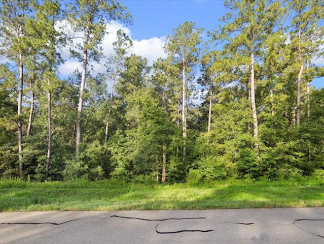 Land for sale in Walker, Texas
