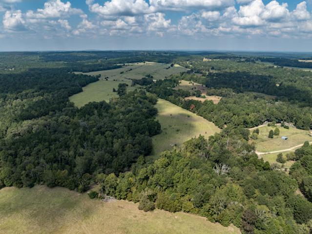 Land for sale in Palestine, Texas