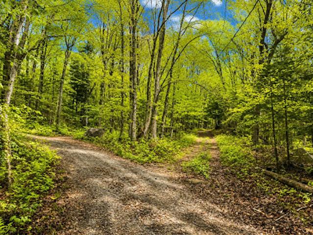 Land for sale in Lac-des-plages, Quebec