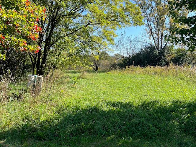 Land for sale in Wadsworth, Lake County