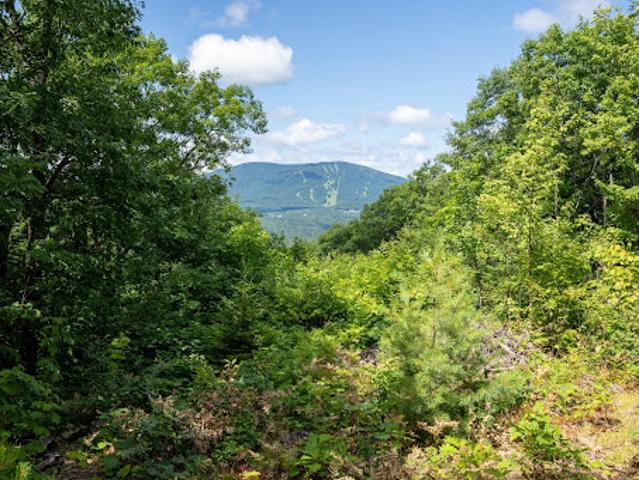 Land for sale in Jamaica Land for sale in Jamaica