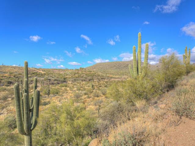 Land for sale in Cave Creek Land for sale in Cave Creek