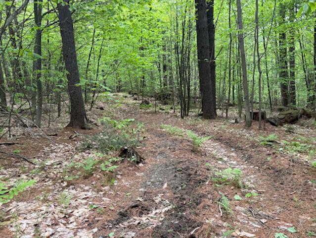 Land for sale in West Dover, Vermont