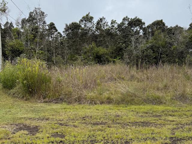 Land for sale in Volcano, Hawaii