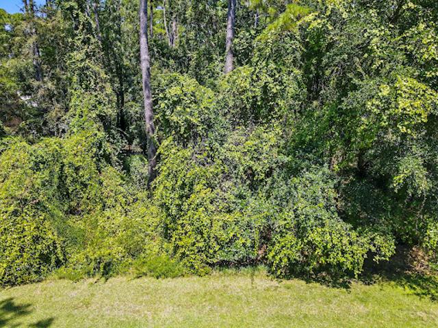 Land for sale in Glynn, Georgia