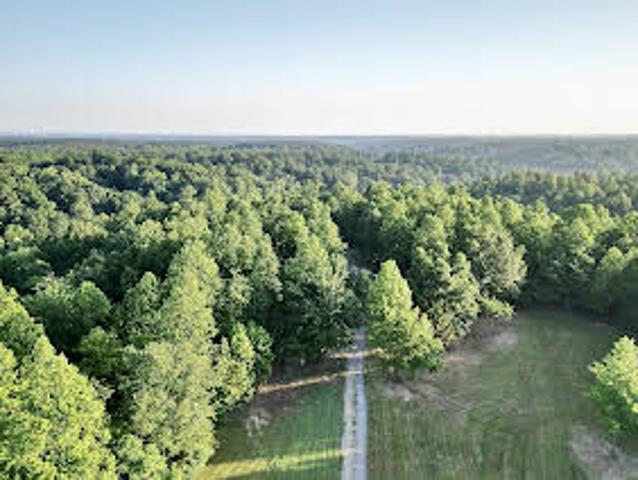 Land for sale in Joelton
