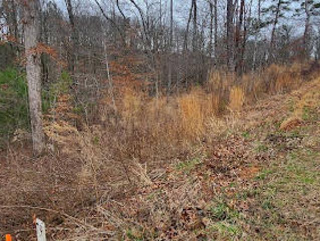 Land for sale in Ellijay