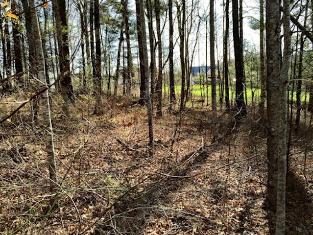 Land for sale in Cullowhee, North Carolina