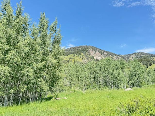 Land for sale in Wyoming