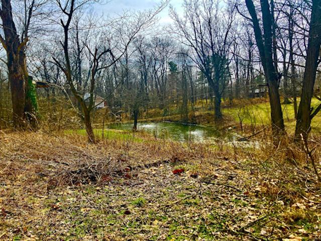 Land for sale in Zionsville, Indiana