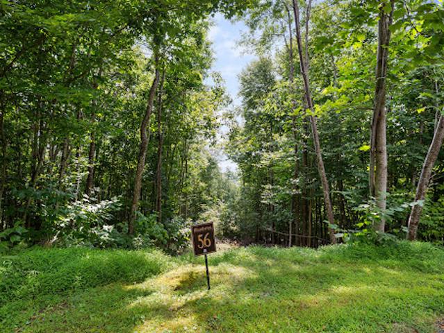 Land for sale in Avery, North Carolina