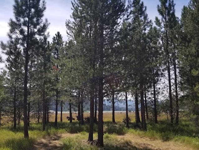 Land for sale in Sagle, Idaho