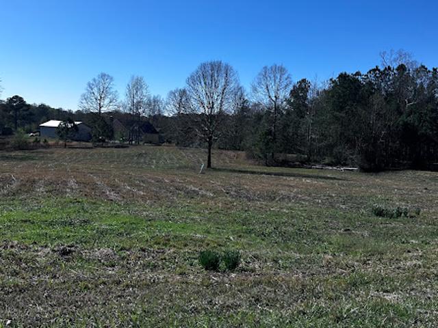Land for sale in Georgia