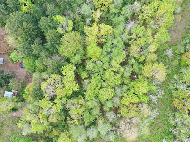 Land for sale in Bainbridge Island, Washington