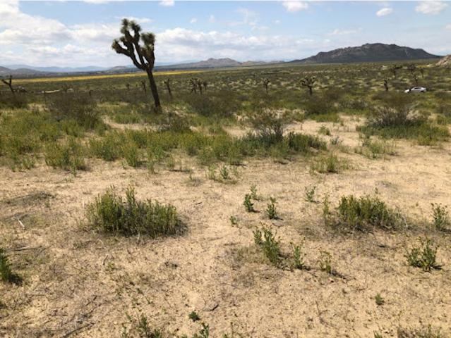 Land for sale in Lancaster, California