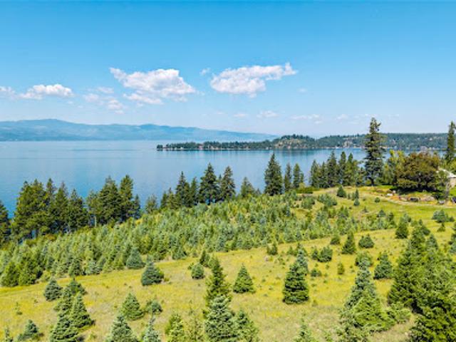 Land for sale in Bigfork, Montana
