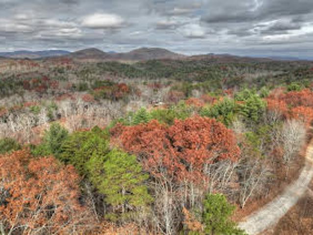 Land for sale in Mineral Bluff