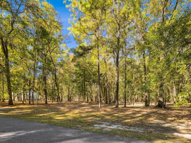 Land for sale in Richmond Hill, Georgia