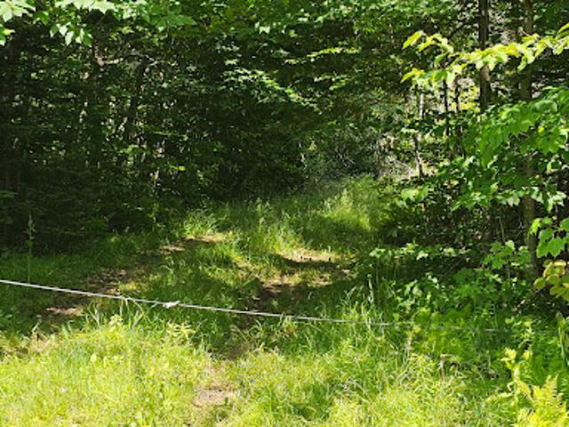 Land for sale in Reading