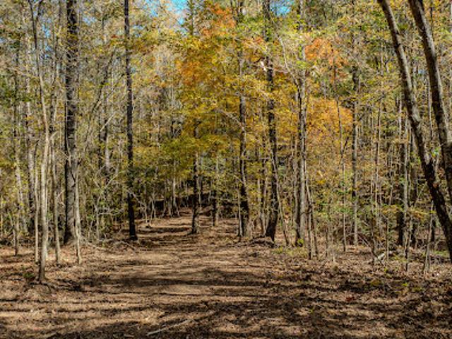Land for sale in Georgia