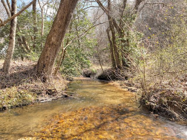 Land for sale in Blue Ridge