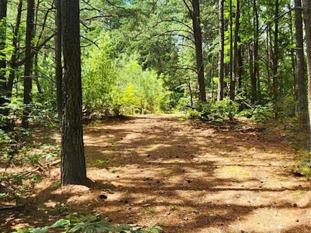Land for sale in Brandywine, Maryland