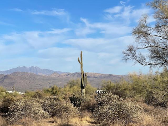 Land for sale in Rio Verde