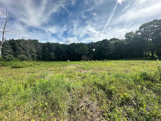 Land for sale in Morris, Connecticut