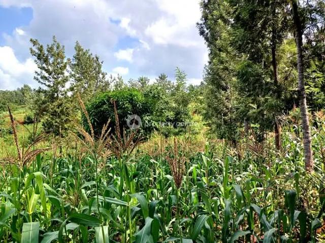 Land for sale in Maragwa, Murang'a