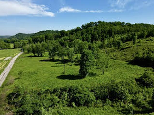 Land for sale in Franklin