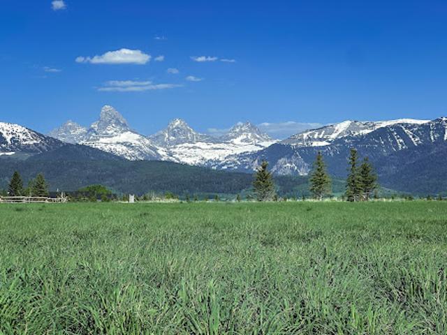 Land for sale in Tetonia