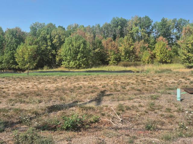 Land for sale in Oregonia