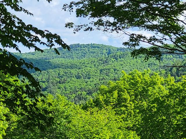 Land for sale in Barnard
